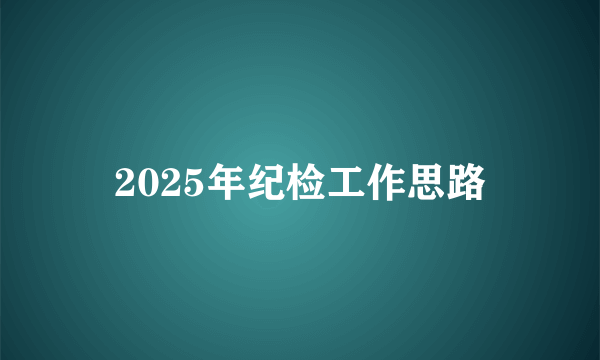 2025年纪检工作思路