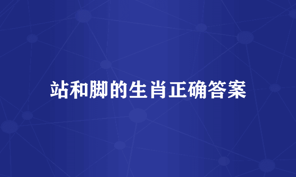 站和脚的生肖正确答案