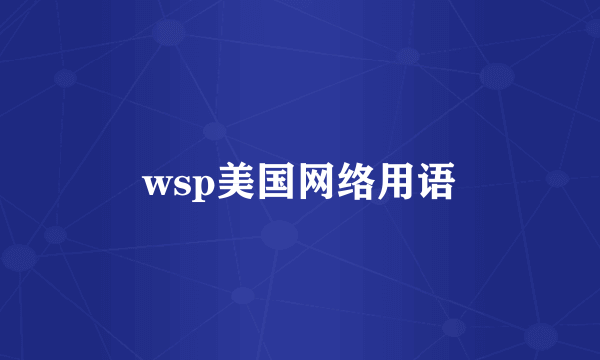 wsp美国网络用语