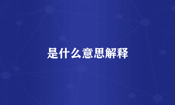 是什么意思解释
