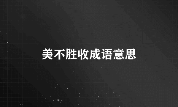 美不胜收成语意思