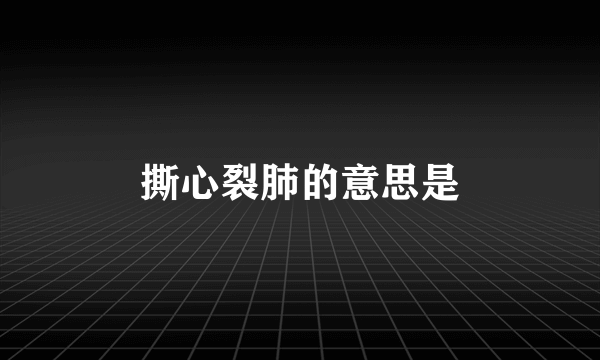 撕心裂肺的意思是