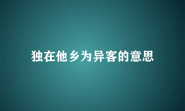 独在他乡为异客的意思