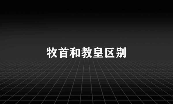 牧首和教皇区别