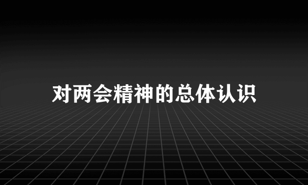 对两会精神的总体认识