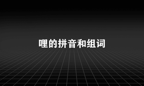哩的拼音和组词