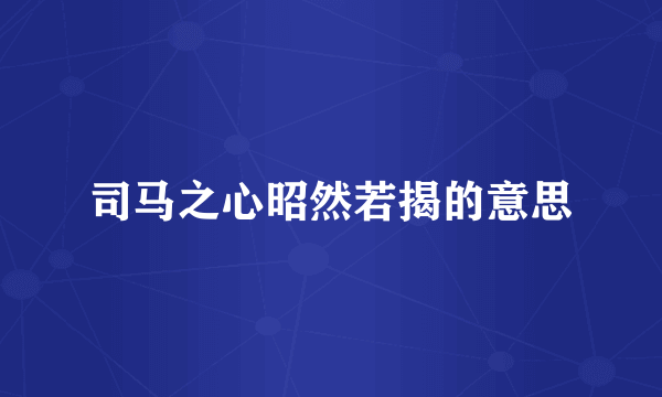 司马之心昭然若揭的意思