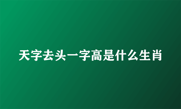 天字去头一字高是什么生肖