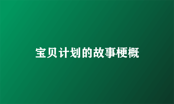 宝贝计划的故事梗概