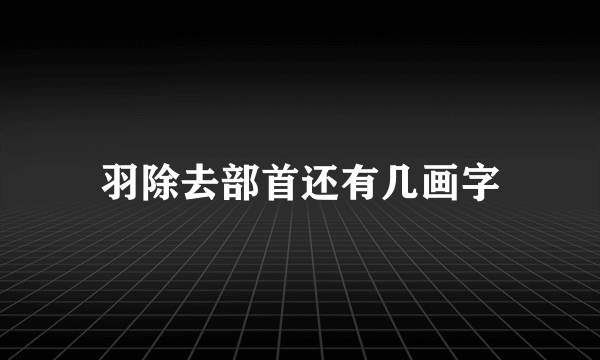 羽除去部首还有几画字