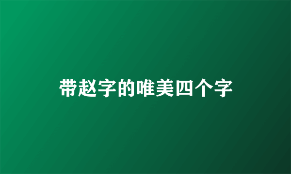 带赵字的唯美四个字