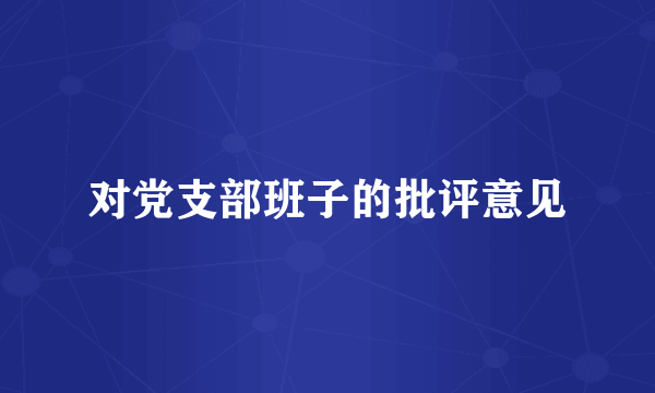 对党支部班子的批评意见