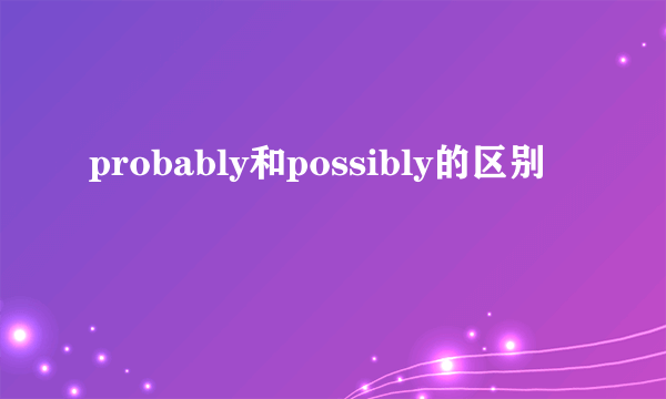 probably和possibly的区别