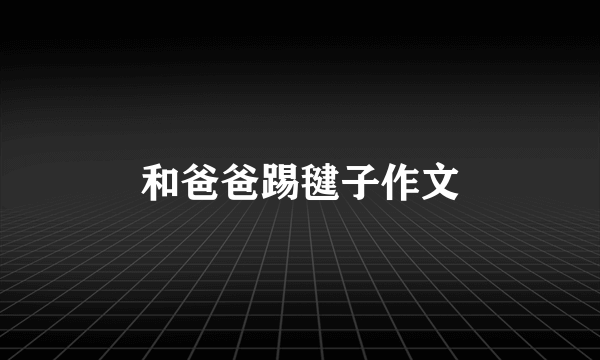 和爸爸踢毽子作文