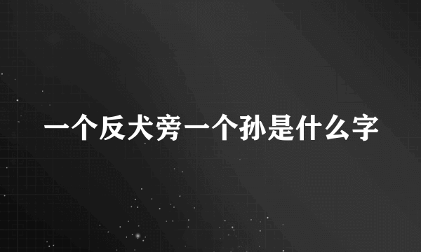 一个反犬旁一个孙是什么字
