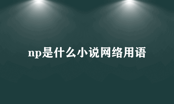 np是什么小说网络用语
