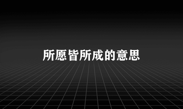 所愿皆所成的意思