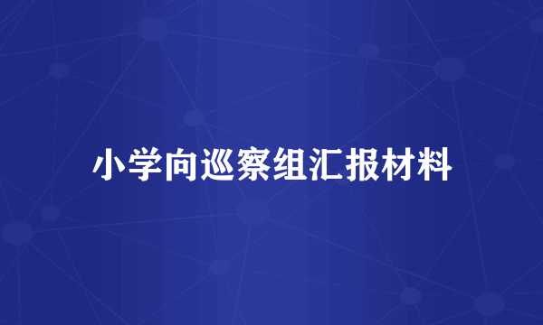 小学向巡察组汇报材料