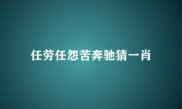 任劳任怨苦奔驰猜一肖