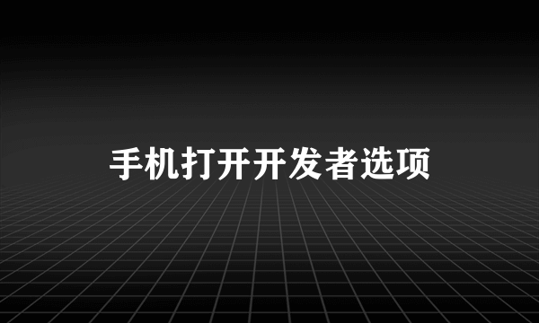 手机打开开发者选项