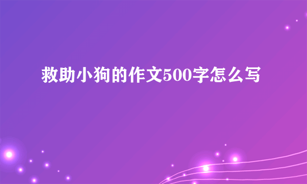 救助小狗的作文500字怎么写