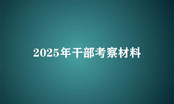 2025年干部考察材料
