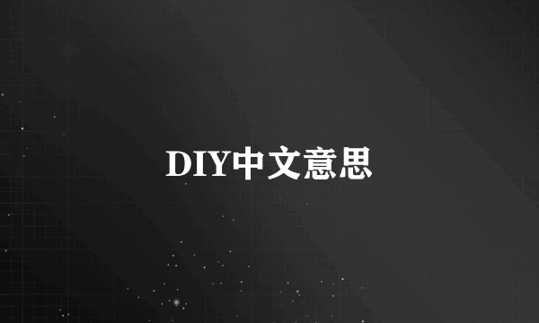 DIY中文意思