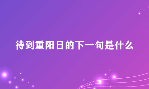 待到重阳日的下一句是什么