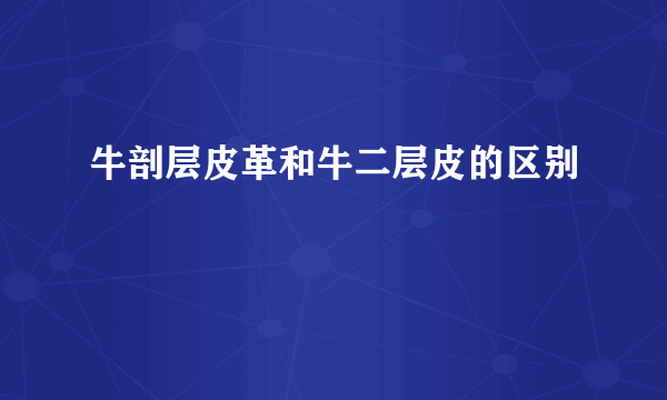 牛剖层皮革和牛二层皮的区别
