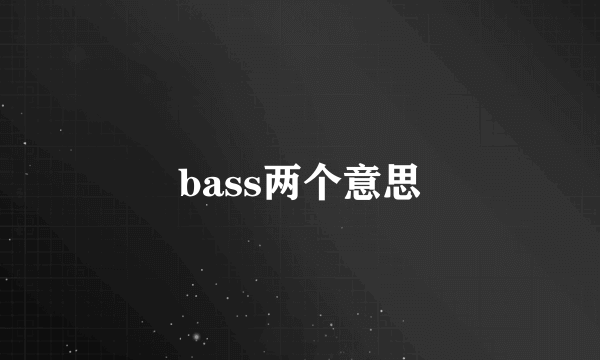 bass两个意思