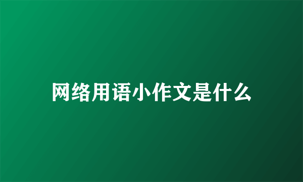 网络用语小作文是什么