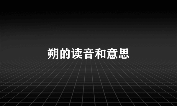 朔的读音和意思