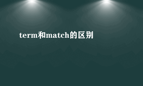 term和match的区别