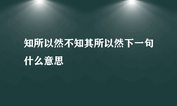 知所以然不知其所以然下一句什么意思