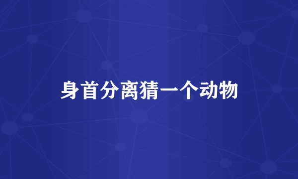 身首分离猜一个动物