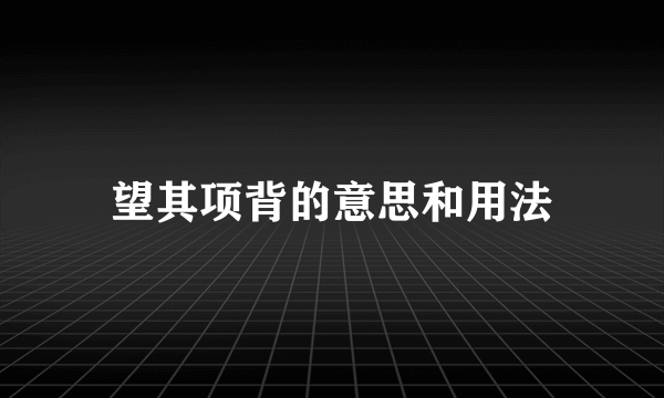 望其项背的意思和用法