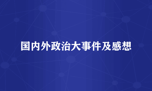 国内外政治大事件及感想