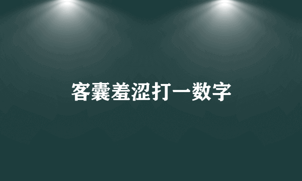 客囊羞涩打一数字