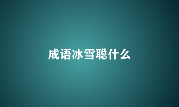 成语冰雪聪什么