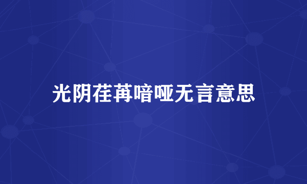 光阴荏苒喑哑无言意思