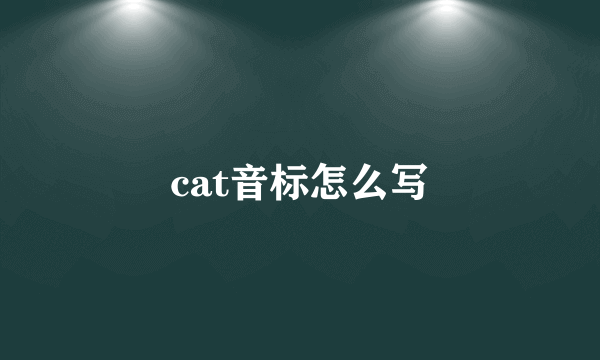 cat音标怎么写