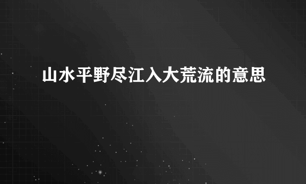 山水平野尽江入大荒流的意思