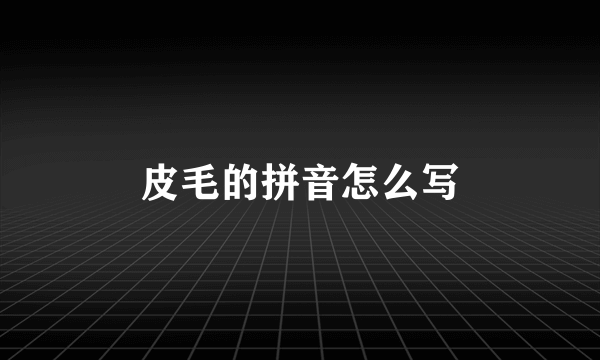 皮毛的拼音怎么写