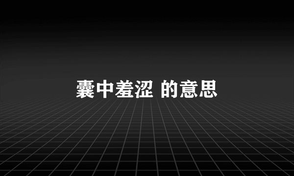 囊中羞涩 的意思