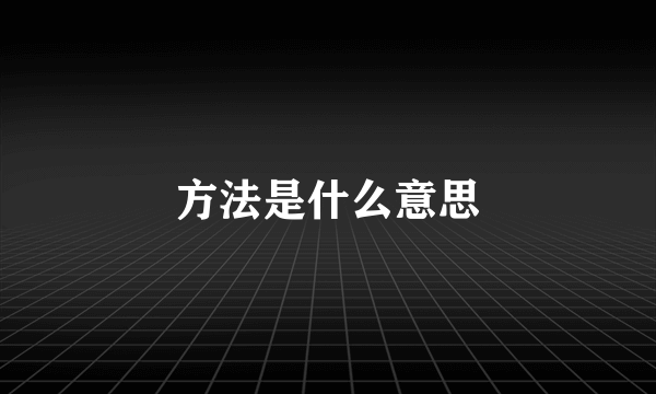 方法是什么意思