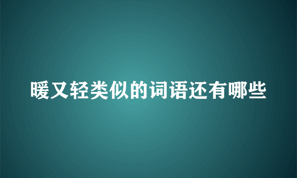 暖又轻类似的词语还有哪些