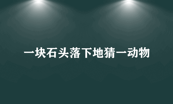 一块石头落下地猜一动物