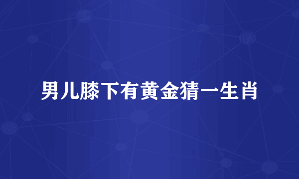 男儿膝下有黄金猜一生肖