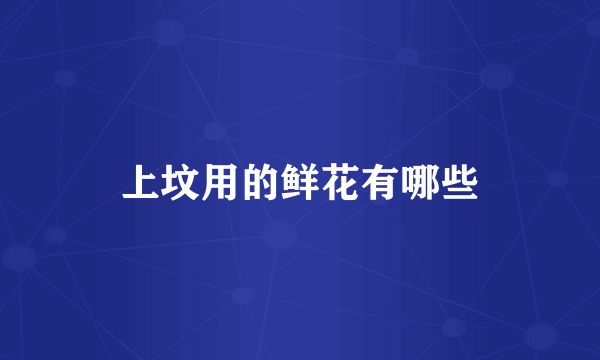 上坟用的鲜花有哪些