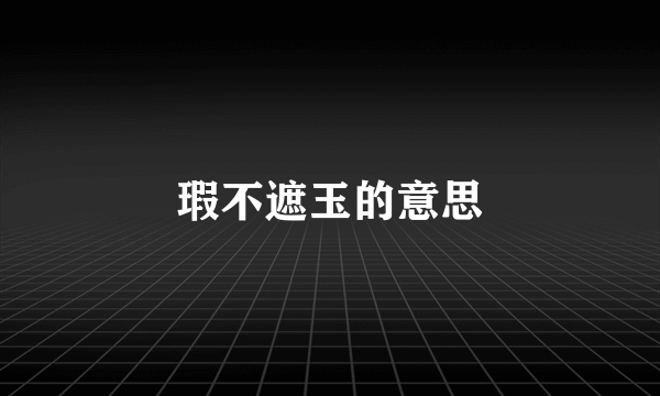 瑕不遮玉的意思